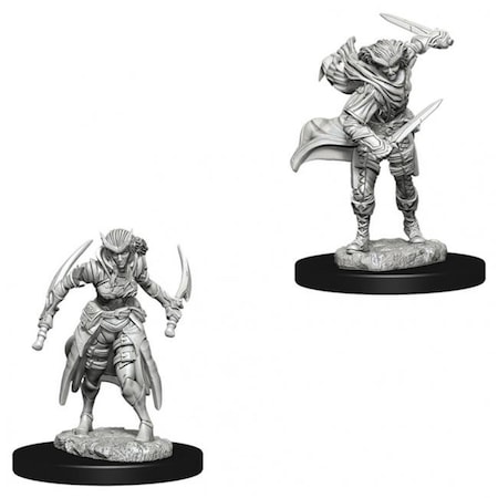 Wizkids WizKids WZK73339 Dungeons & Dragons Nolzurs Marvelous Miniatures - Tiefling Female Rogue W7 - Figures WZK73339